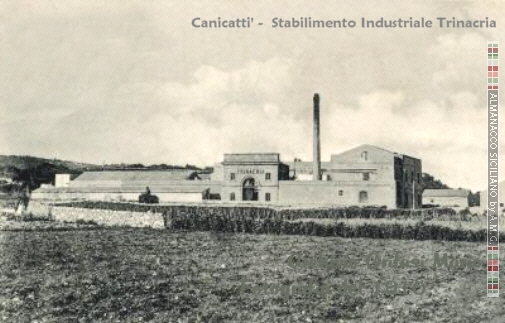 Stabilimento Trinacria (fotografia del 1910 - archivio Grifasi)