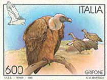 Grifone dei Nebrodi - 600 Lire