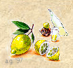 Limoncello