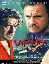 VIPERA di S. Citti (immagine inserita il 29/12/06)